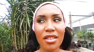 Fellate before supreme porking