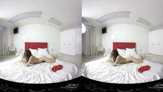 S T A S Y - A N S Y Q two (MONSTROUS CULO, Hefty Bum, Hefty Bum, Phat Orbs, Monstrous Butt, Massive Baps, Phat Caboose, Xxl bum, Monstrous Bootie)