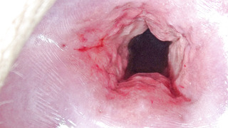 Cervix Stretching and Uterus Dilation with Penetration