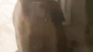 Busty Ebony Escort with Huge Ass Playing with BBC