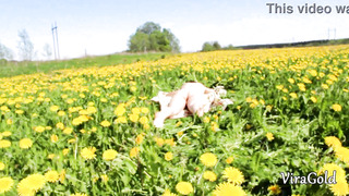 Casual Oral from a Stranger Woman and Jizz in Facehole